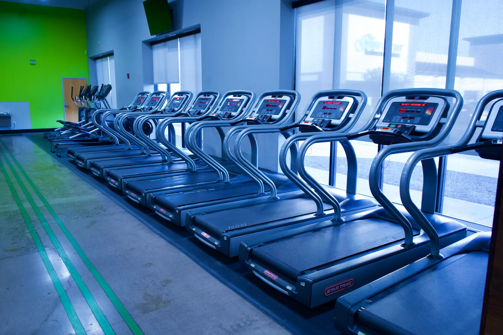A row of treadmills facing tall windows, with a green wall to one side.