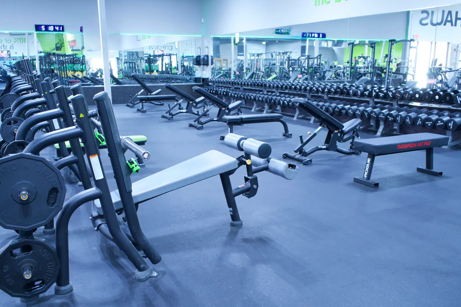 A long run of benches and dumbbells on the free-weight floor, with mirrors along the far wall.