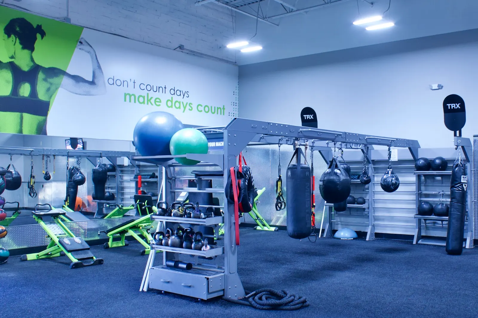 The functional training area: a rig hung with straps and bags, medicine balls and exercise balls beside it.